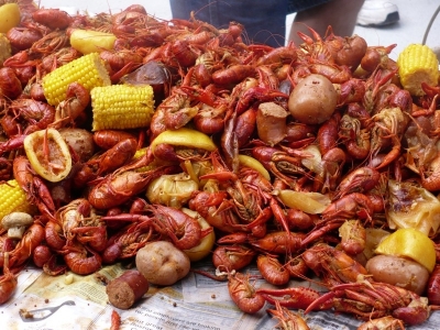 3rd Annual Boil 2008